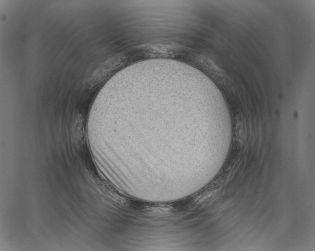 X0000061110318200512161420