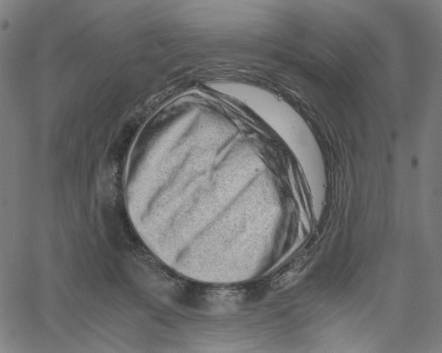 X0000061110319200512161420