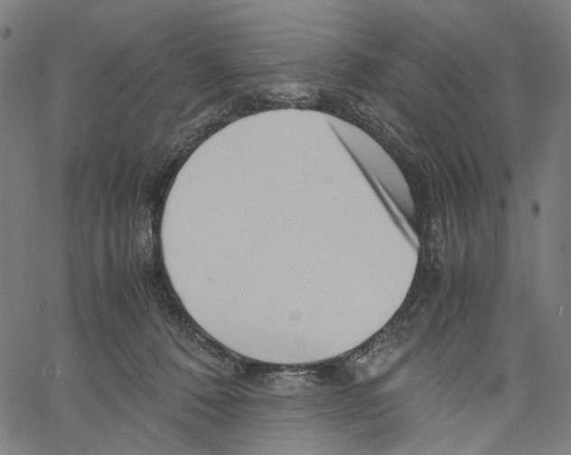 X0000061110320200512161420