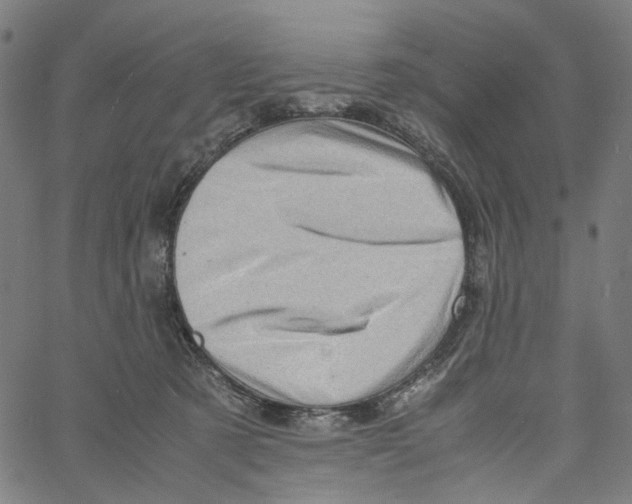 X0000061110321200512161420