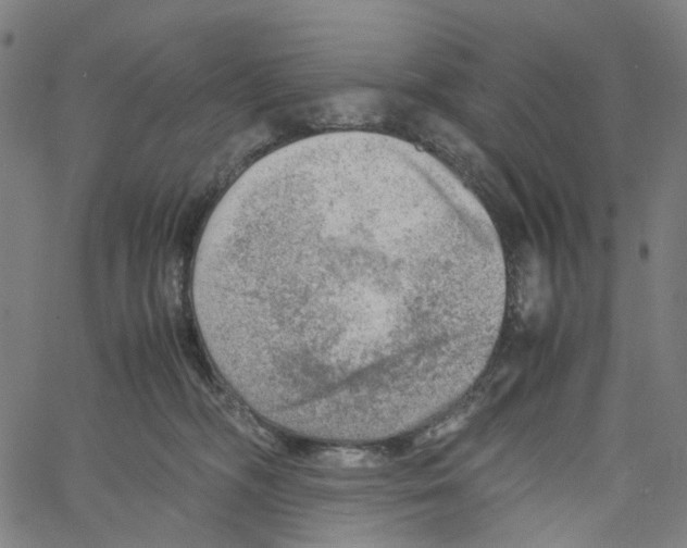 X0000061110326200512161420
