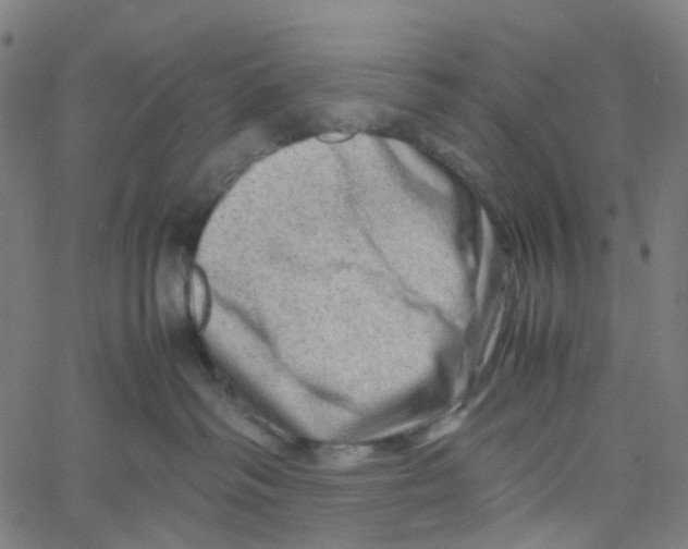 X0000061110334200512161420
