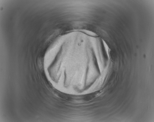 X0000061110335200512161420