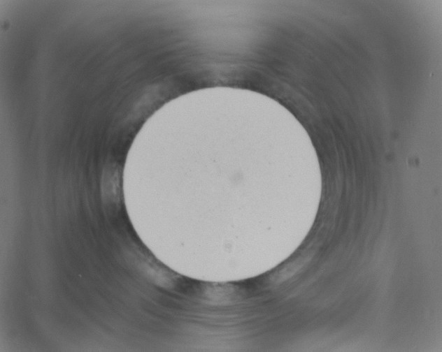 X0000061110336200512161420