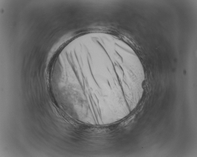 X0000061110343200512161419