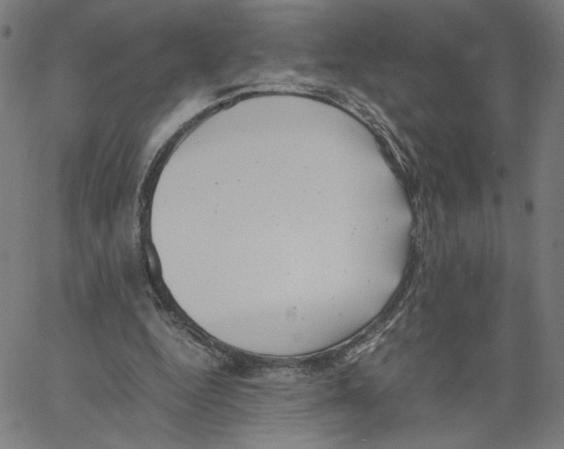 X0000061110344200512161419
