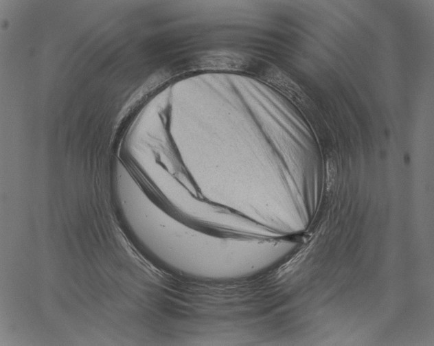 X0000061110349200512161419