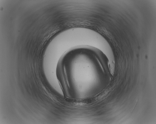 X0000061110360200512161419
