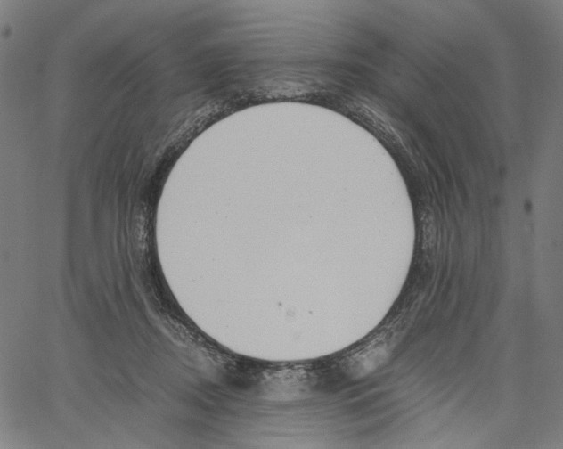 X0000061110362200512161419
