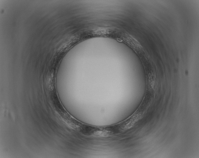 X0000061110364200512161419