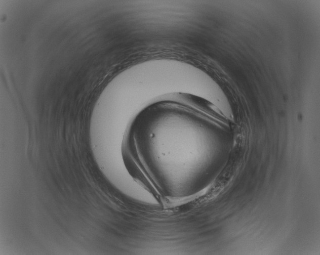 X0000061110368200512161420