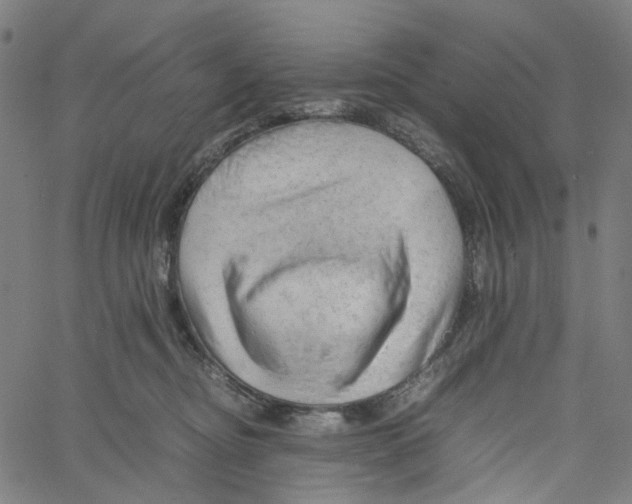 X0000061110374200512161420
