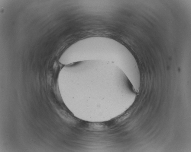 X0000061110380200512161420
