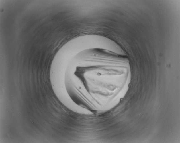 X0000061110384200512161420