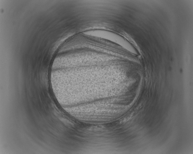 X0000061110386200512161419