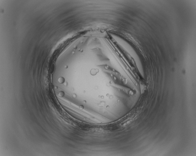 X0000061110392200512161419