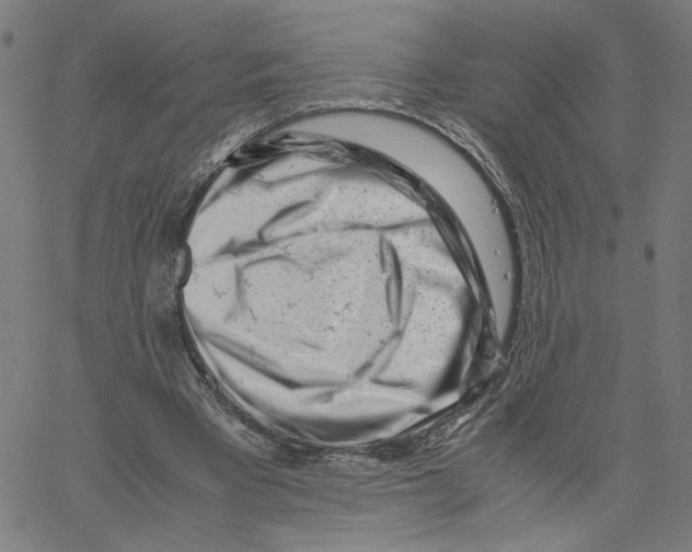 X0000061110393200512161419