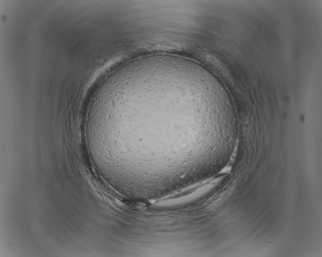 X0000061110395200512161419