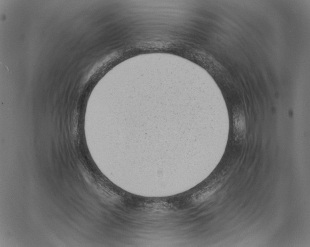 X0000061110396200512161419