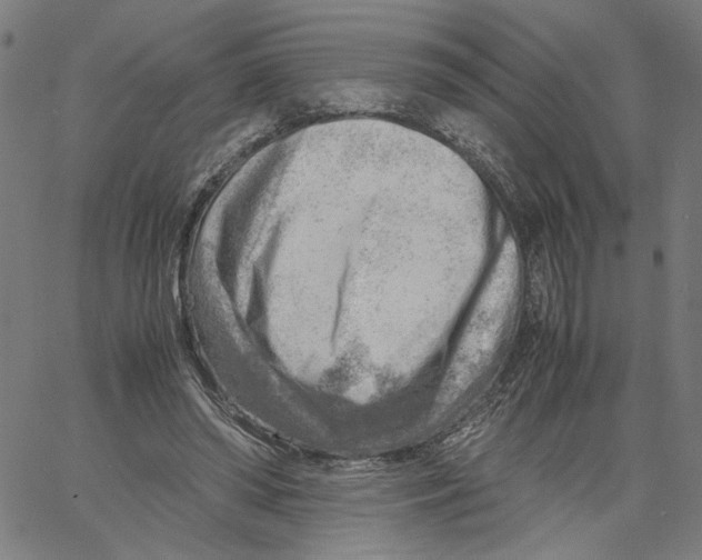 X0000061110398200512161419