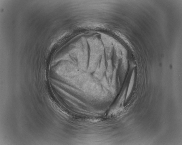 X0000061110399200512161419