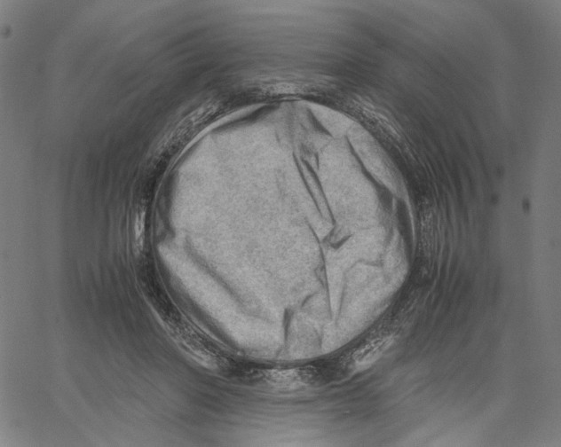 X0000061110406200512161419