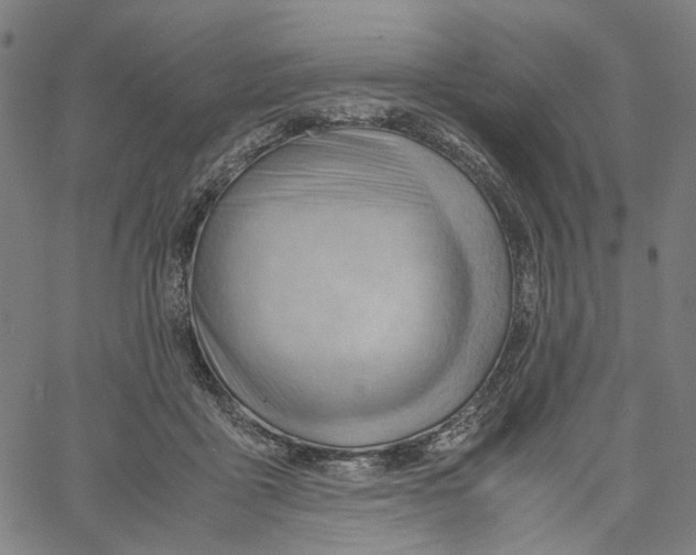 X0000061110411200512161419