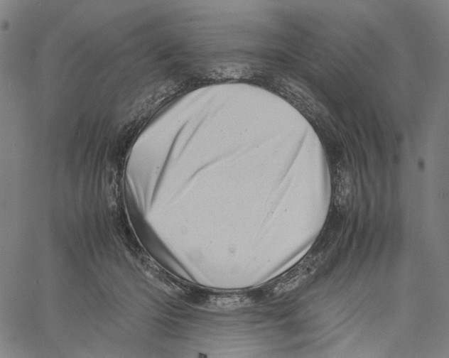 X0000061110414200512161419