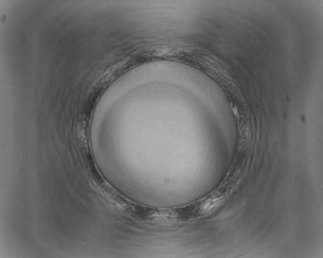 X0000061110415200512161419