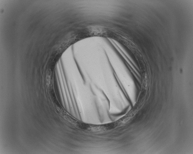 X0000061110417200512161418