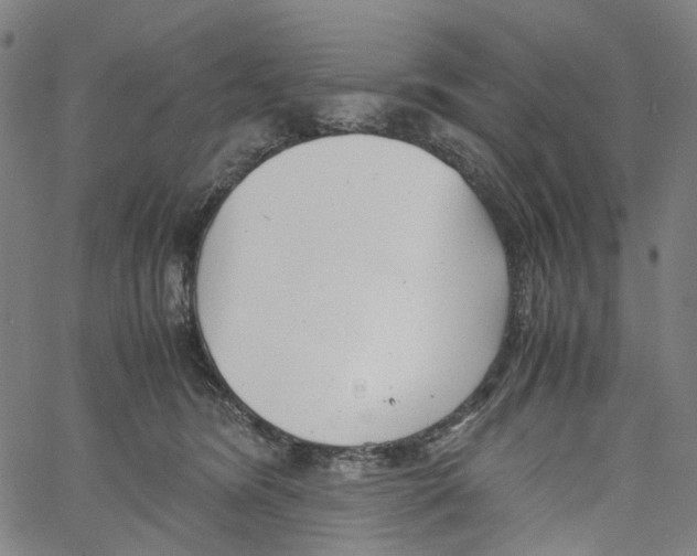 X0000061110420200512161418