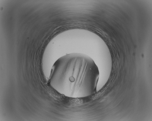 X0000061110421200512161418