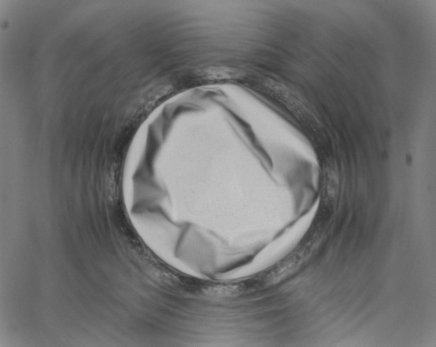 X0000061110422200512161418