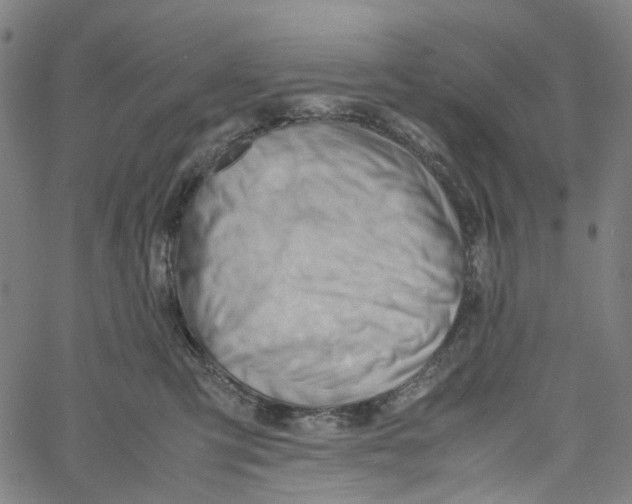 X0000061110423200512161418