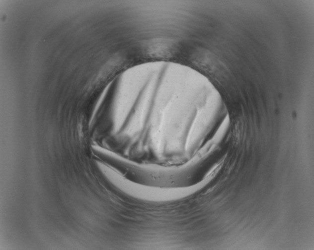 X0000061110424200512161418