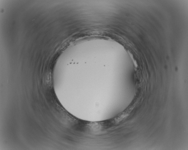 X0000061110425200512161418