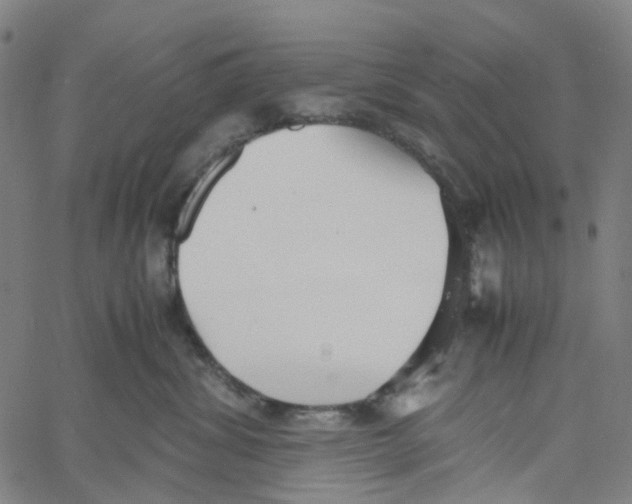 X0000061110428200512161418