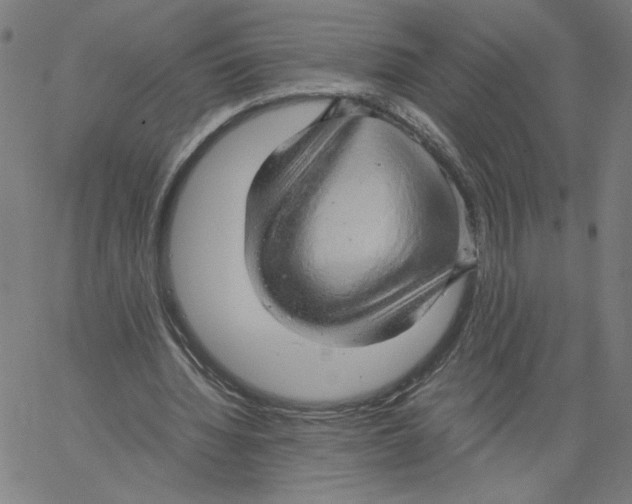 X0000061110436200512161417