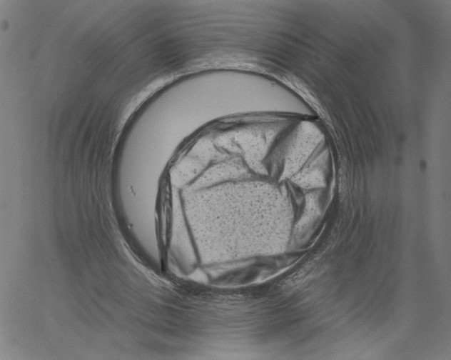 X0000061110438200512161417