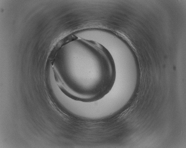 X0000061110439200512161417