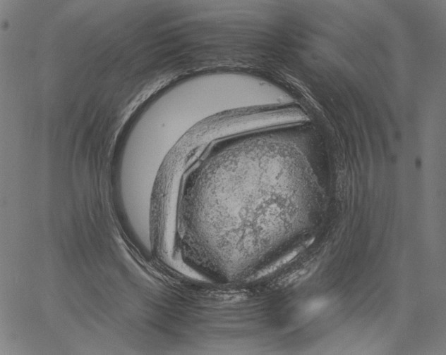 X0000061110443200512161418