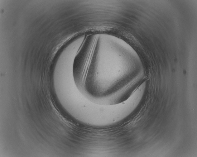 X0000061110444200512161418