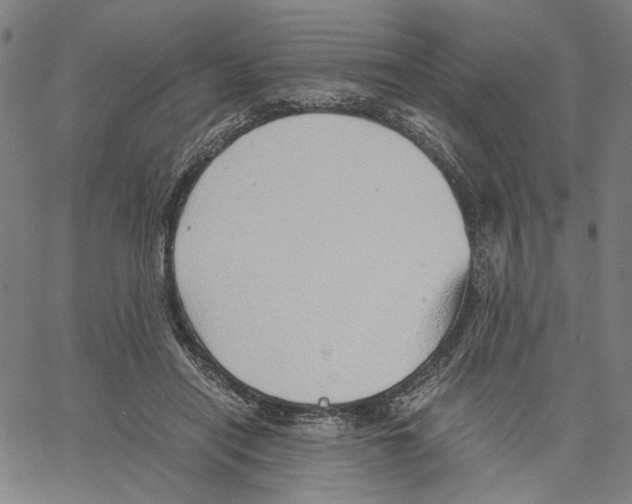 X0000061110454200512161418
