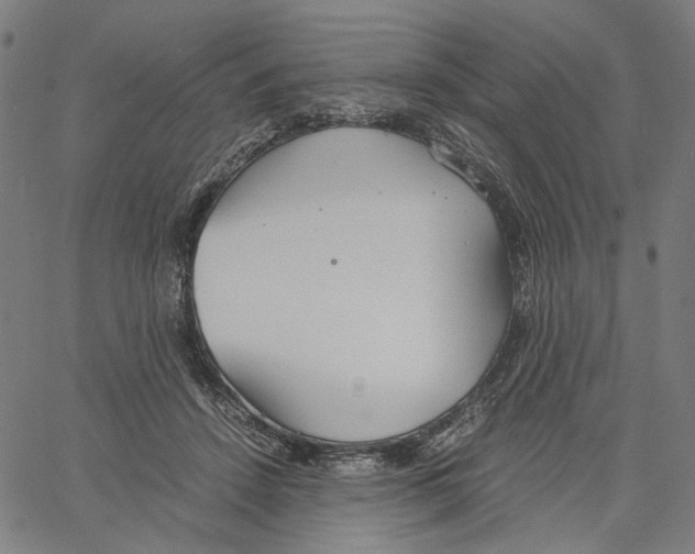X0000061110456200512161418