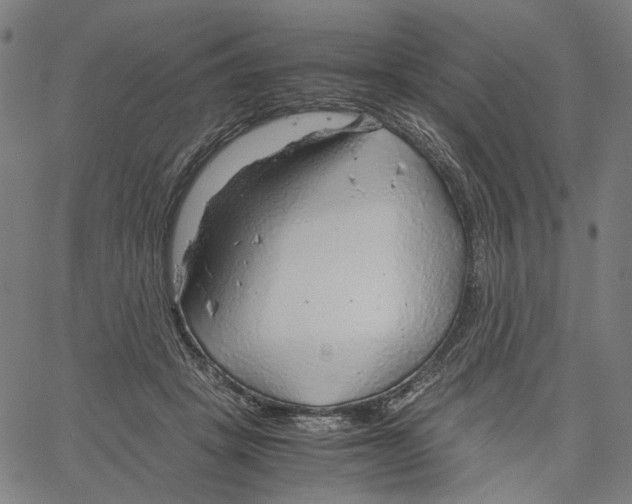 X0000061110457200512161418