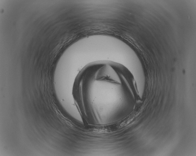 X0000061110458200512161418
