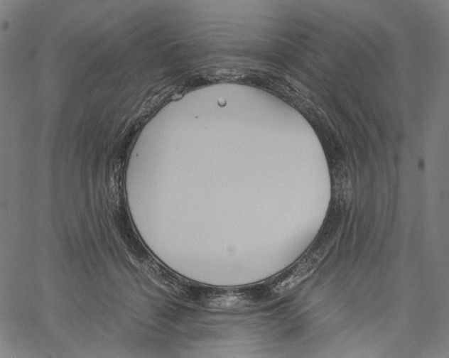 X0000061110460200512161418