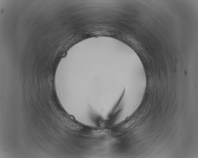 X0000061110461200512161418