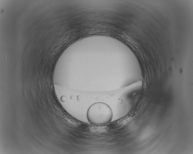 X0000061110465200512161418