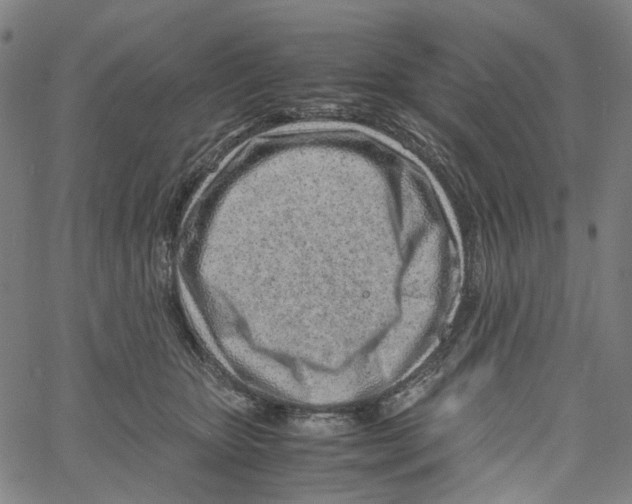 X0000061110467200512161418